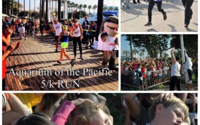 The 2015 Aquarium of the Pacific 5/k RUN!