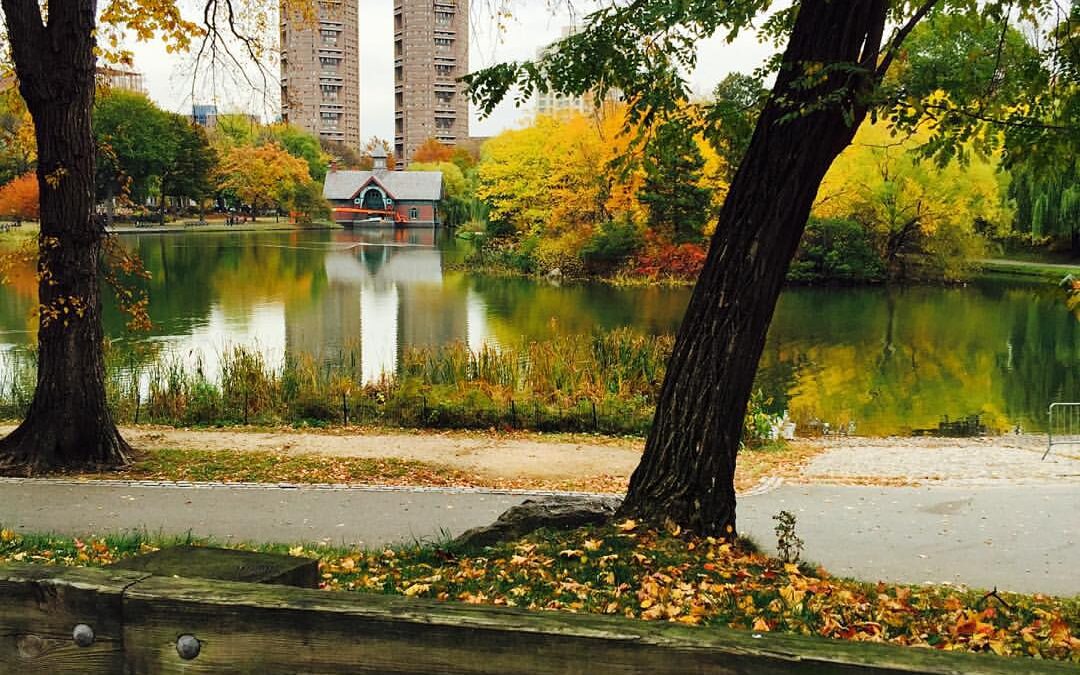 November 2, 2015 Dion in Central Park New York