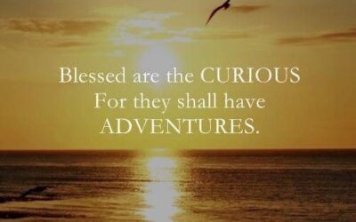 Blessed are the CURIOUS for they shall have ADVENTURES!